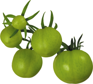 Tomato PNG-12514